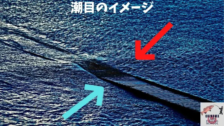 【沖縄ショアジギング入門】釣れる魚・タックル・仕掛けまで全て解説!