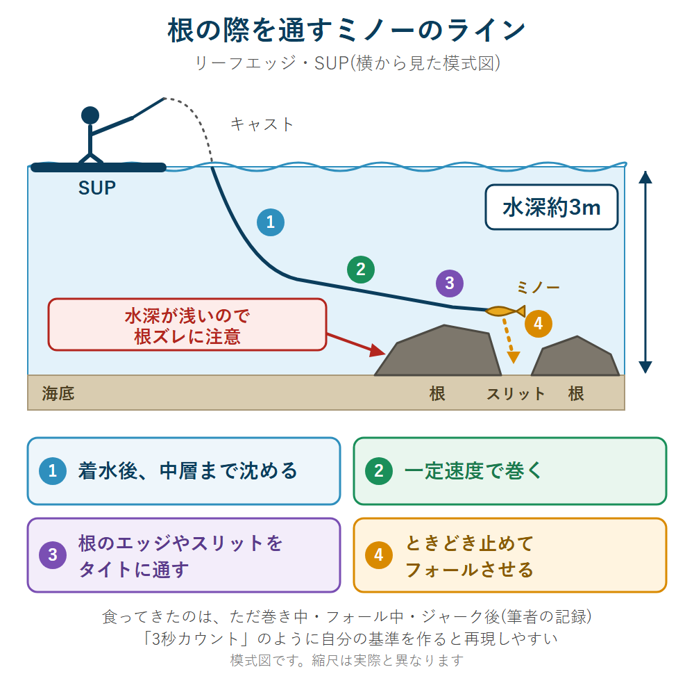 リーフエッジの根の際を通すミノーのラインの模式図