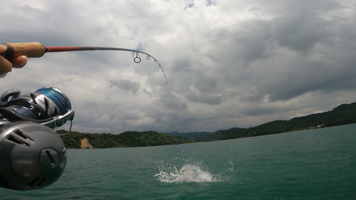 カヤックまたはSUPの上でロッドを曲げて魚とファイトしている写真