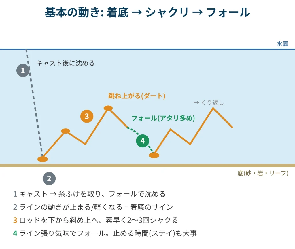 エギングの基本動作の図解。着底後にロッドを2〜3回シャクり、ラインを張ってフォールさせる流れ