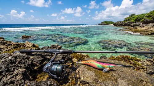 eyecatch_okinawa-egging