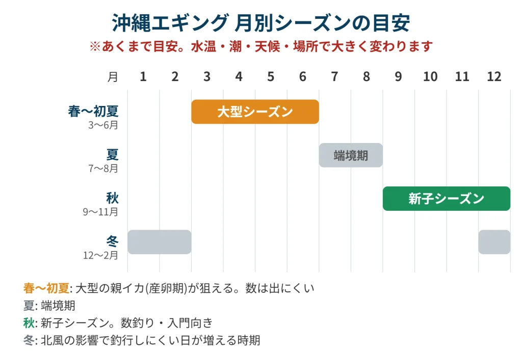 沖縄エギングの月別シーズン目安表。春〜初夏は大型、秋は新子で入門向き
